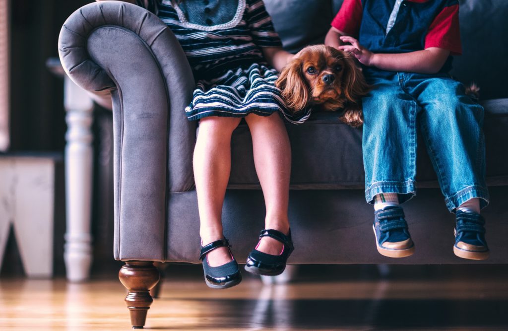 newlywed game questions for families